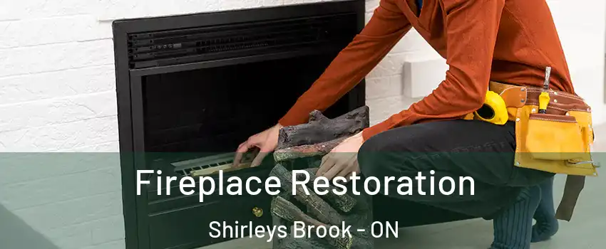  Fireplace Restoration Shirleys Brook - ON
