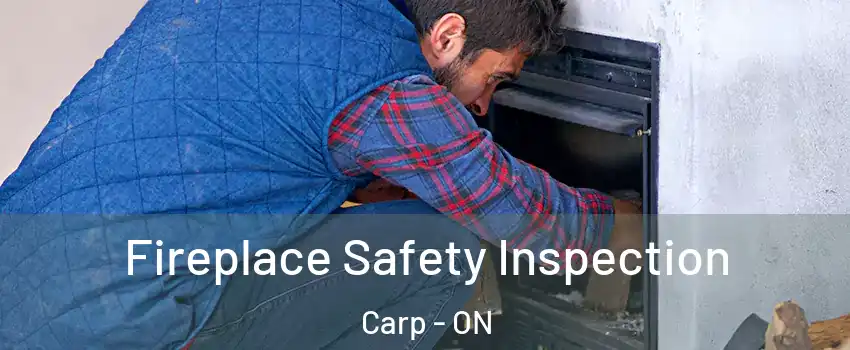  Fireplace Safety Inspection Carp - ON
