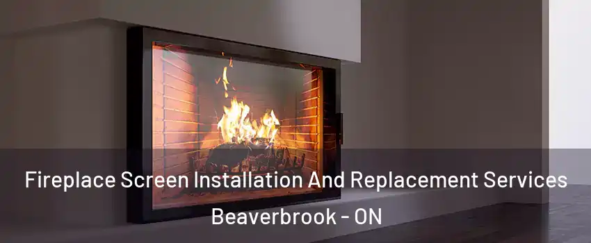 Fireplace Screen Installation And Replacement Services Beaverbrook - ON