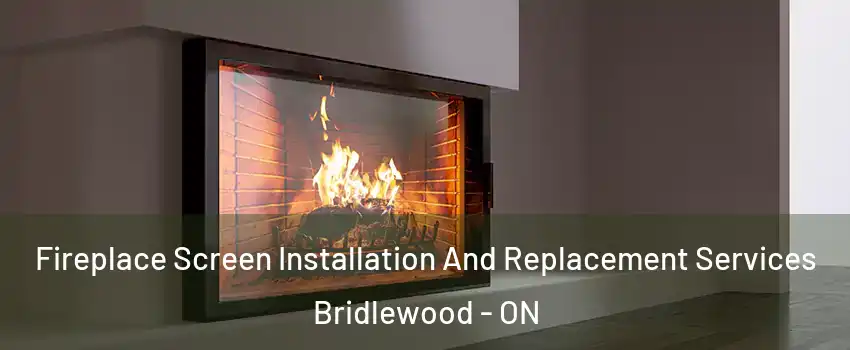  Fireplace Screen Installation And Replacement Services Bridlewood - ON