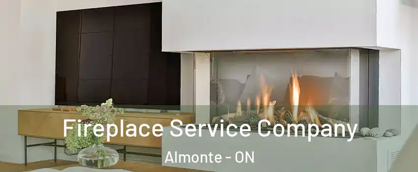  Fireplace Service Company Almonte - ON