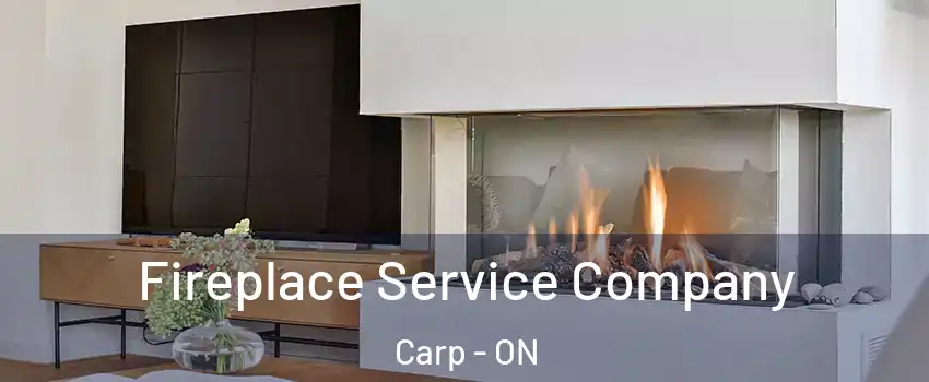 Fireplace Service Company Carp - ON