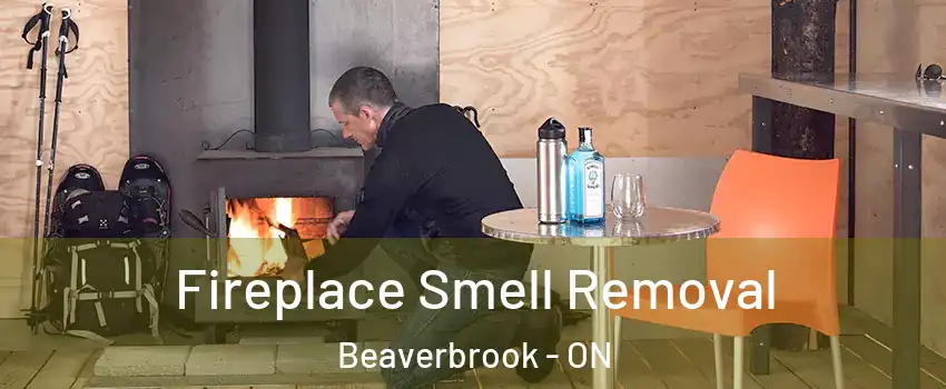  Fireplace Smell Removal Beaverbrook - ON
