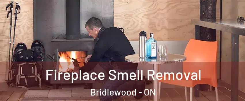  Fireplace Smell Removal Bridlewood - ON