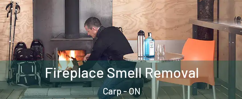  Fireplace Smell Removal Carp - ON