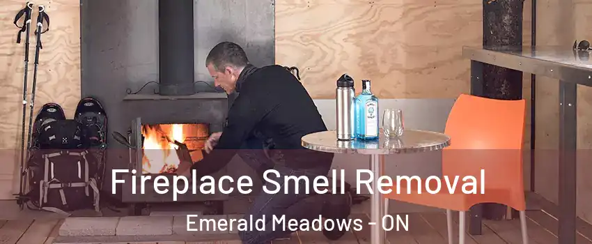  Fireplace Smell Removal Emerald Meadows - ON