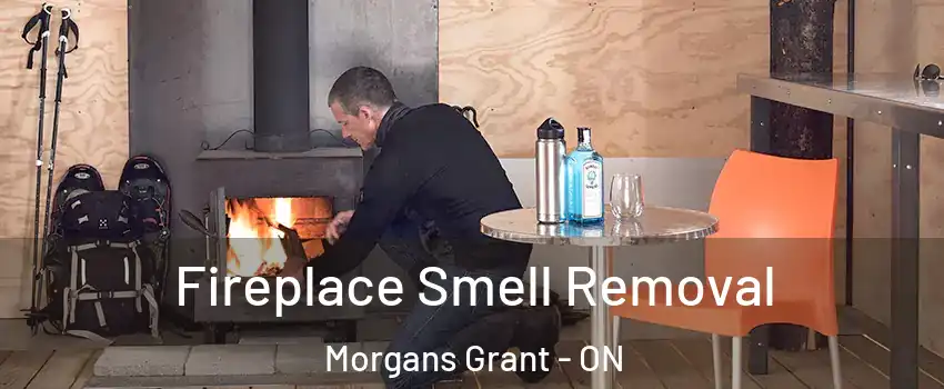  Fireplace Smell Removal Morgans Grant - ON