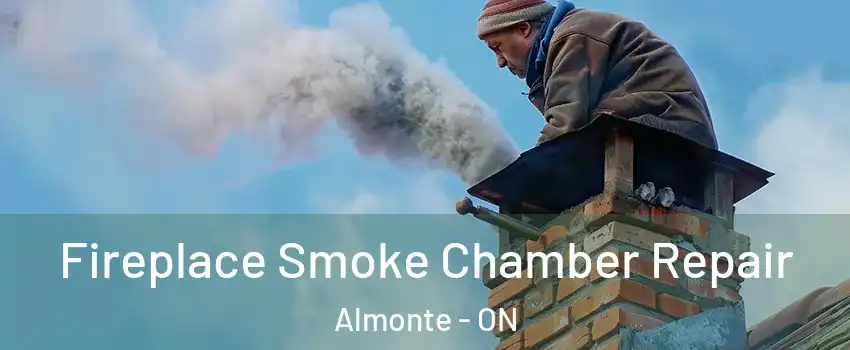  Fireplace Smoke Chamber Repair Almonte - ON