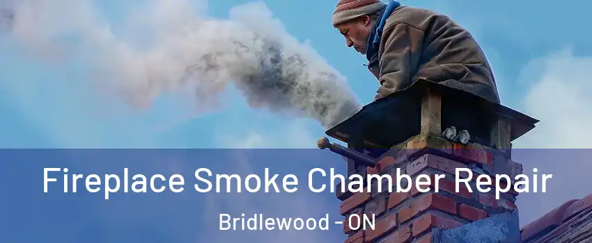  Fireplace Smoke Chamber Repair Bridlewood - ON