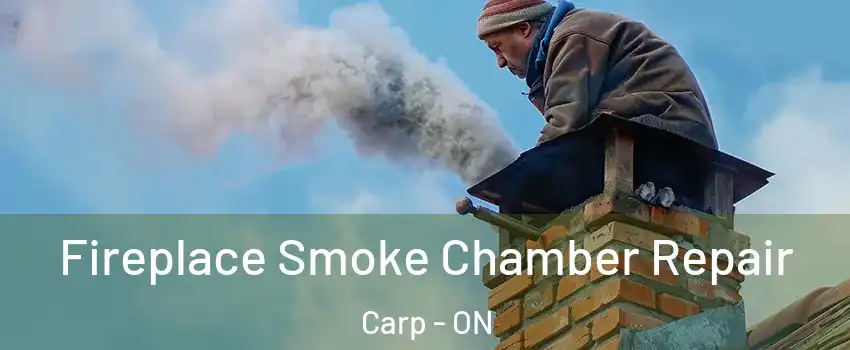  Fireplace Smoke Chamber Repair Carp - ON