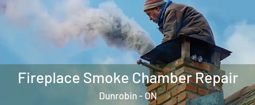  Fireplace Smoke Chamber Repair Dunrobin - ON