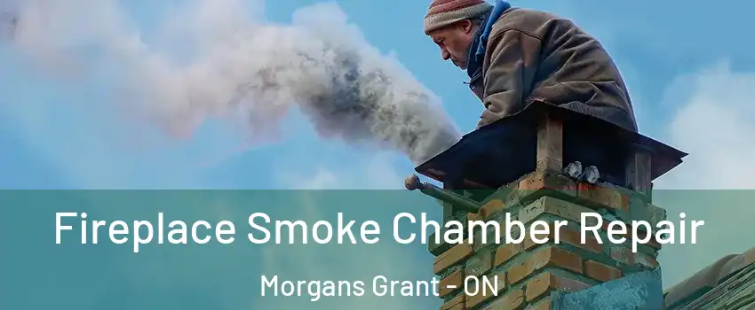  Fireplace Smoke Chamber Repair Morgans Grant - ON