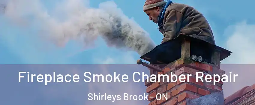  Fireplace Smoke Chamber Repair Shirleys Brook - ON