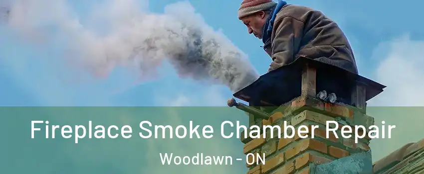  Fireplace Smoke Chamber Repair Woodlawn - ON