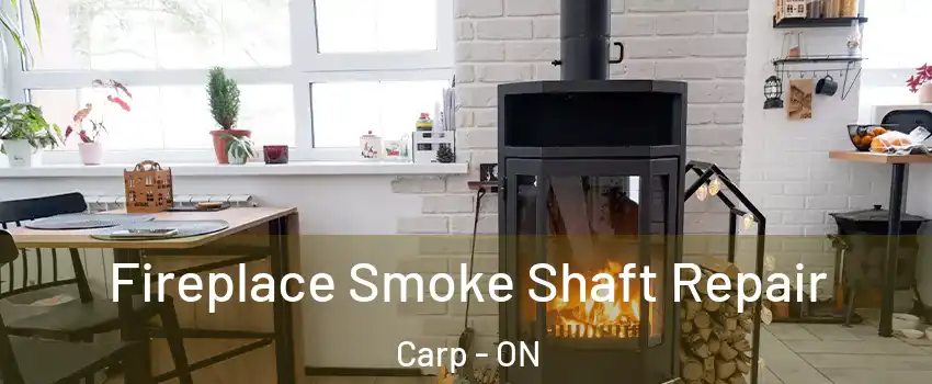 Fireplace Smoke Shaft Repair Carp - ON