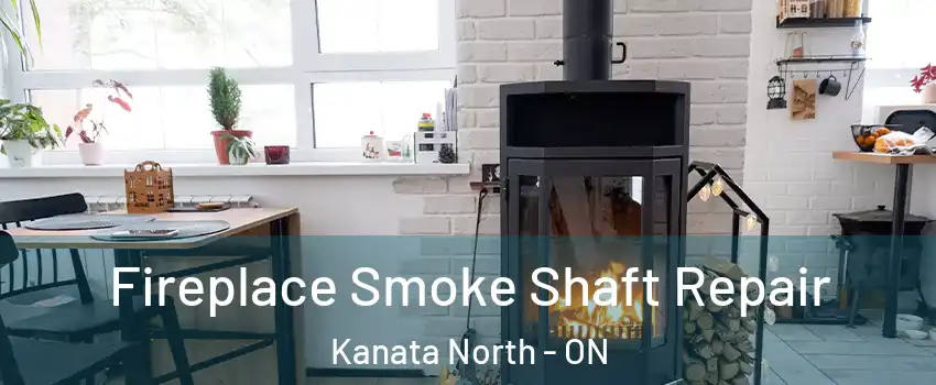  Fireplace Smoke Shaft Repair Kanata North - ON