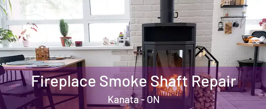  Fireplace Smoke Shaft Repair Kanata - ON