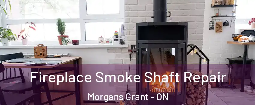  Fireplace Smoke Shaft Repair Morgans Grant - ON