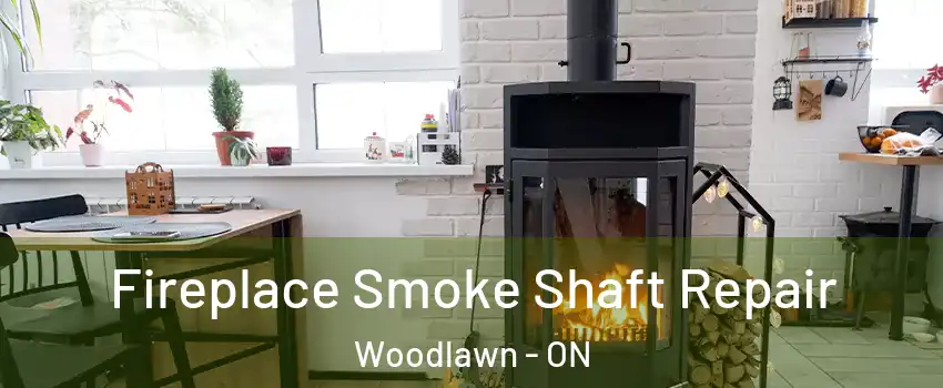  Fireplace Smoke Shaft Repair Woodlawn - ON