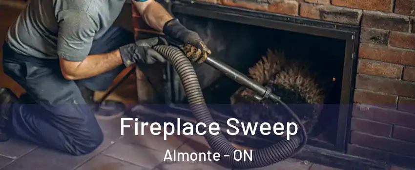  Fireplace Sweep Almonte - ON