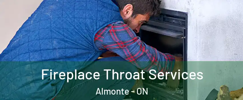  Fireplace Throat Services Almonte - ON
