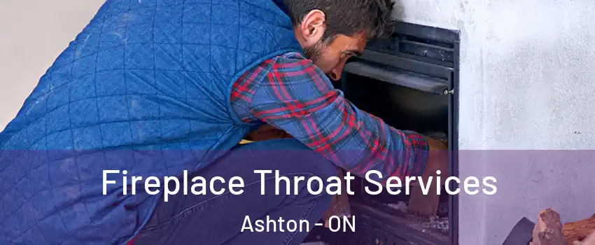  Fireplace Throat Services Ashton - ON