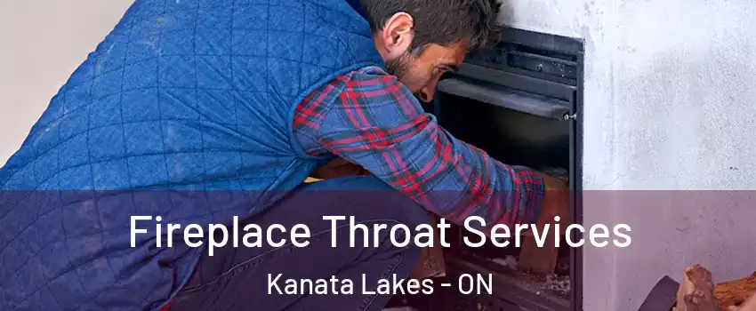  Fireplace Throat Services Kanata Lakes - ON