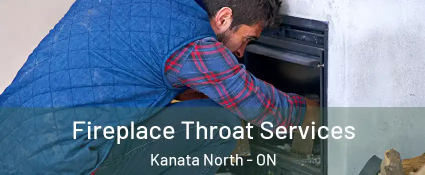  Fireplace Throat Services Kanata North - ON