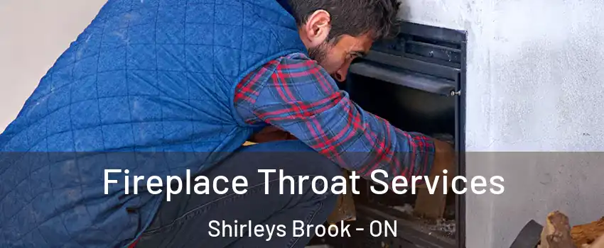  Fireplace Throat Services Shirleys Brook - ON