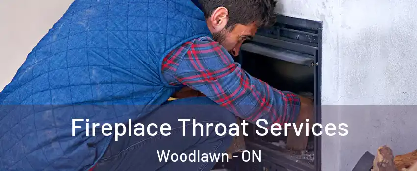 Fireplace Throat Services Woodlawn - ON