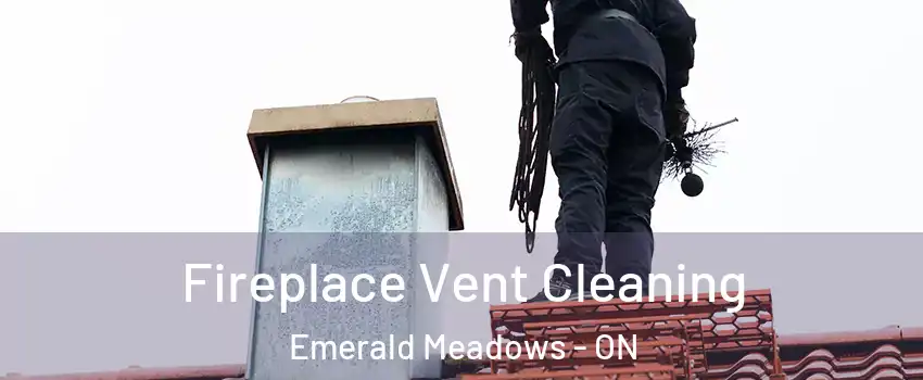 Fireplace Vent Cleaning Emerald Meadows - ON