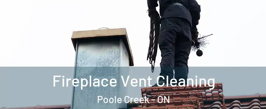  Fireplace Vent Cleaning Poole Creek - ON