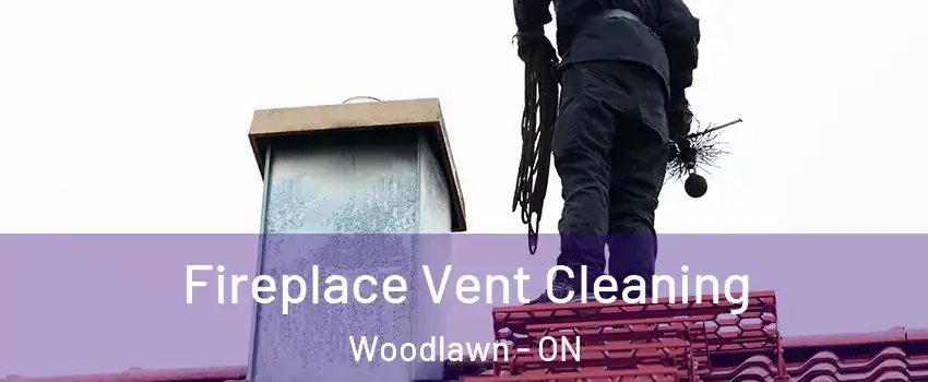  Fireplace Vent Cleaning Woodlawn - ON