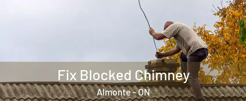  Fix Blocked Chimney Almonte - ON