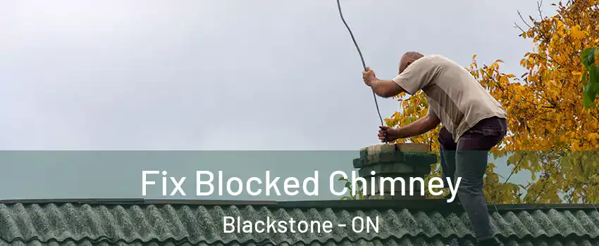  Fix Blocked Chimney Blackstone - ON