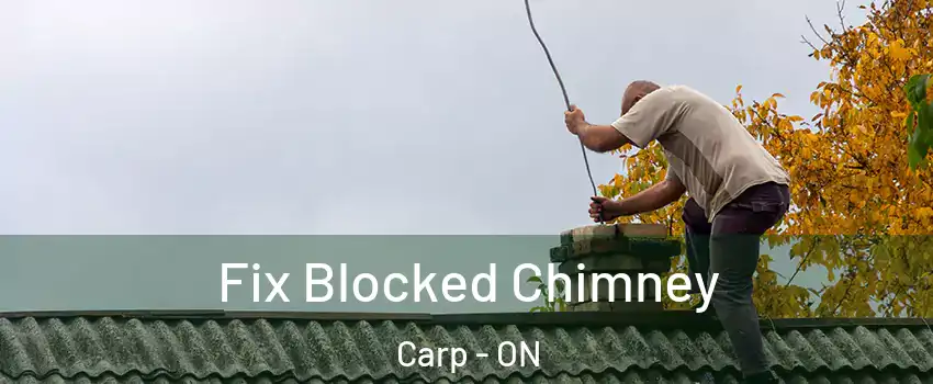  Fix Blocked Chimney Carp - ON