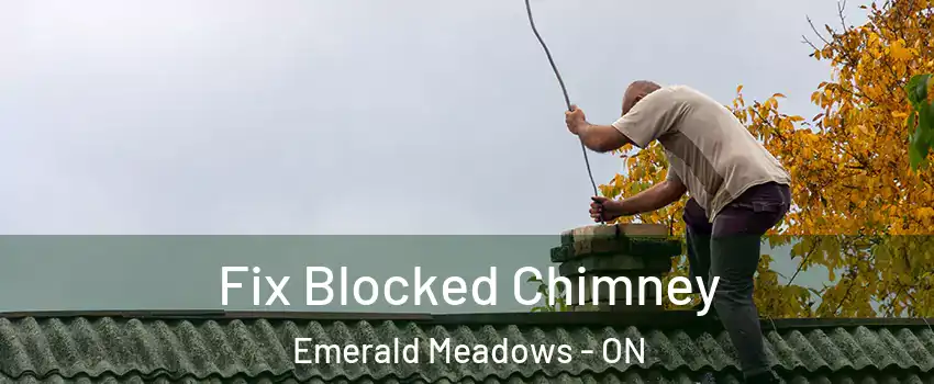  Fix Blocked Chimney Emerald Meadows - ON