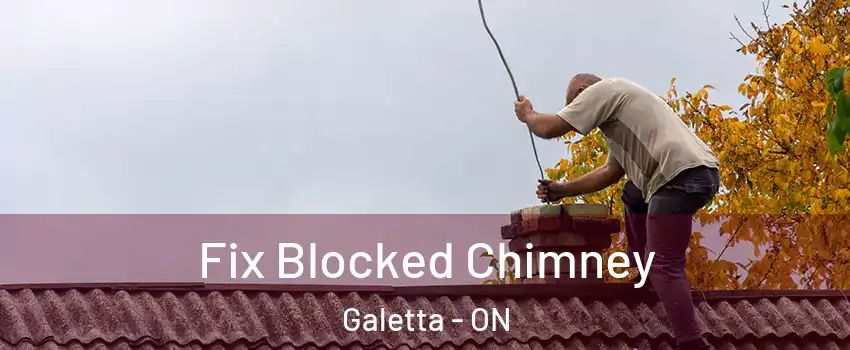  Fix Blocked Chimney Galetta - ON