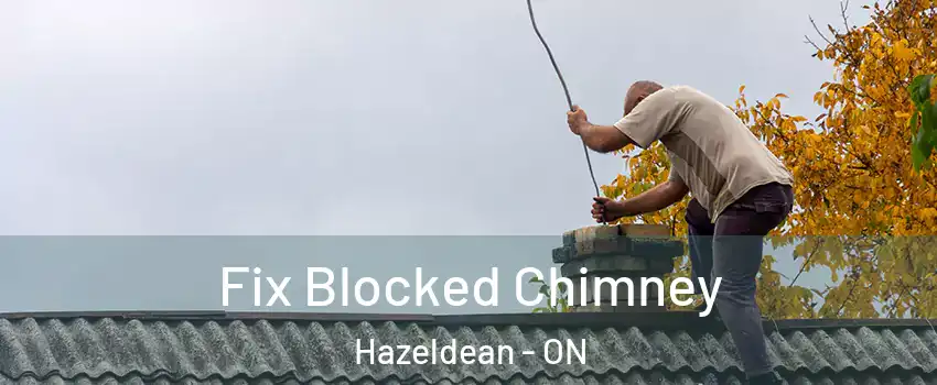  Fix Blocked Chimney Hazeldean - ON
