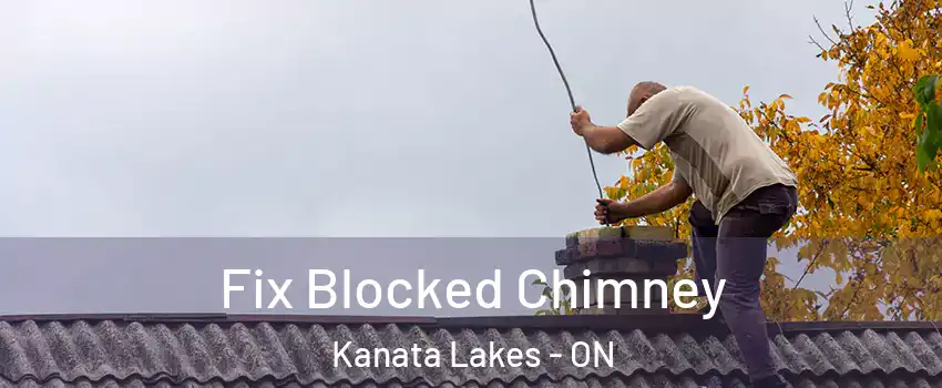  Fix Blocked Chimney Kanata Lakes - ON