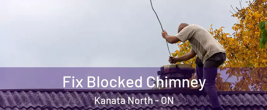  Fix Blocked Chimney Kanata North - ON