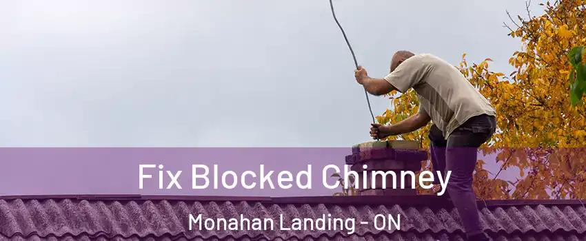 Fix Blocked Chimney Monahan Landing - ON