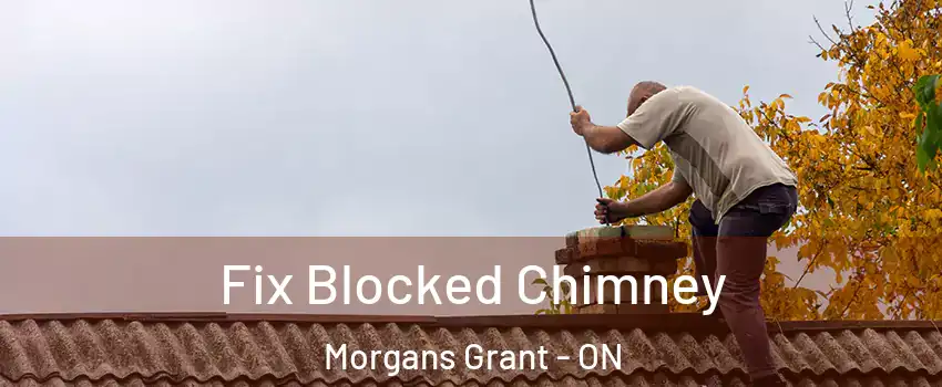  Fix Blocked Chimney Morgans Grant - ON