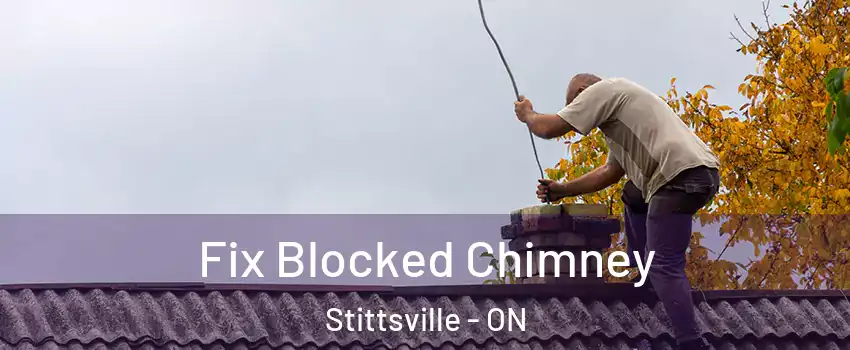 Fix Blocked Chimney Stittsville - ON