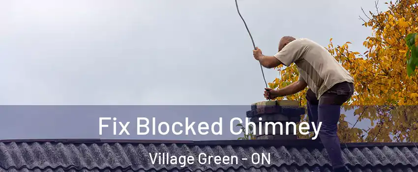  Fix Blocked Chimney Village Green - ON
