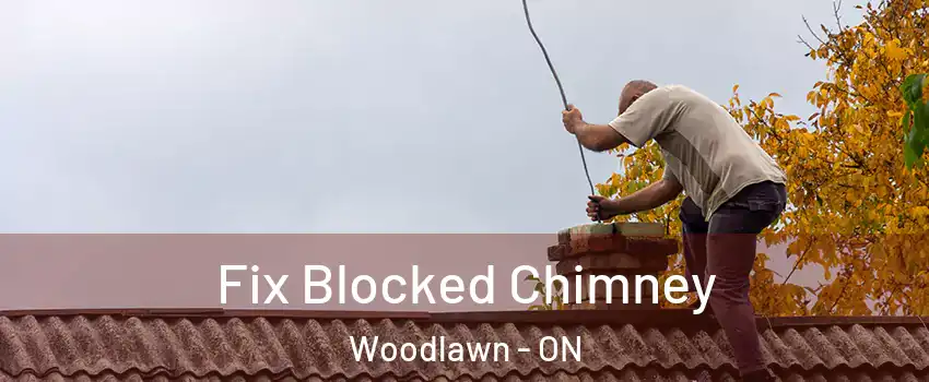  Fix Blocked Chimney Woodlawn - ON