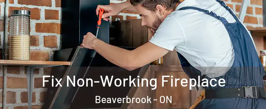  Fix Non-Working Fireplace Beaverbrook - ON