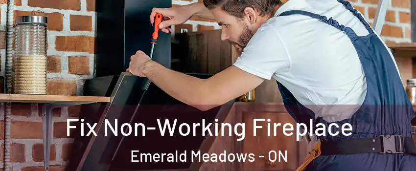 Fix Non-Working Fireplace Emerald Meadows - ON