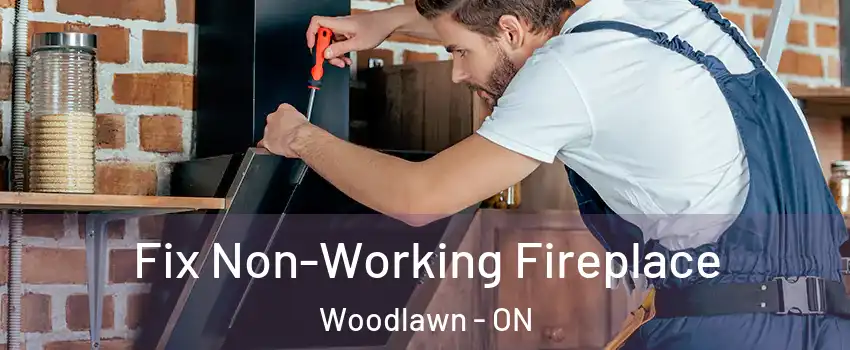  Fix Non-Working Fireplace Woodlawn - ON