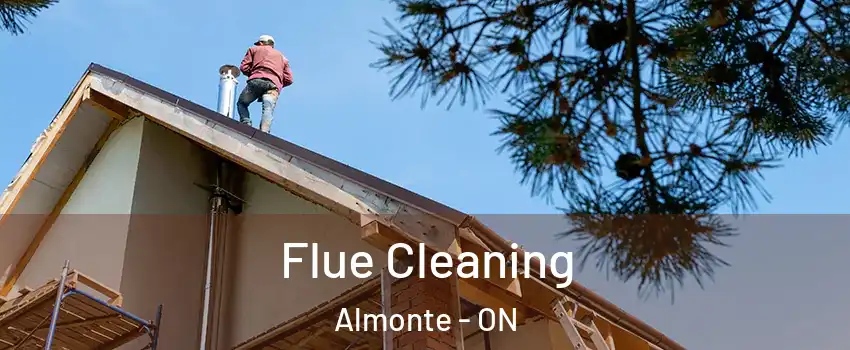  Flue Cleaning Almonte - ON
